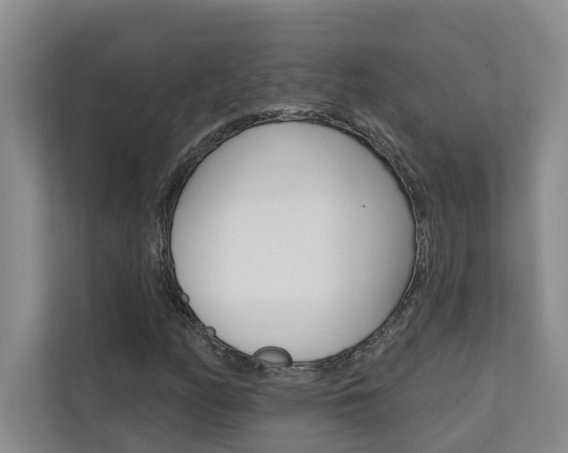 X0000110701158200906121030