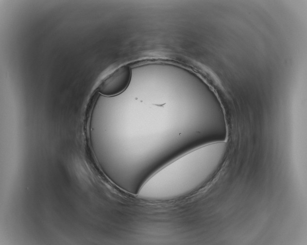 X0000110701168200906121030