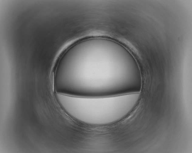 X0000110701175200906121030
