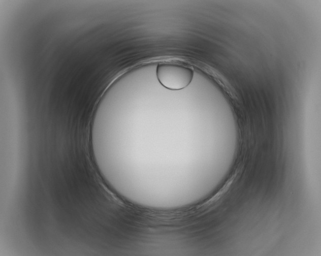 X0000110701177200906121030