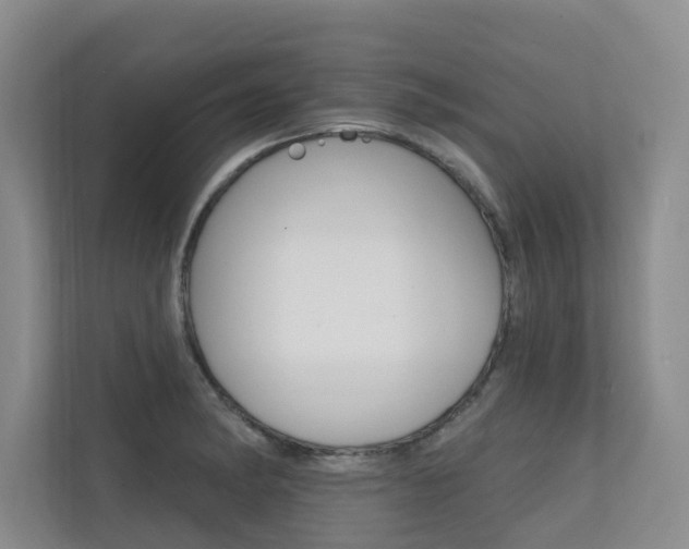 X0000110701182200906121030