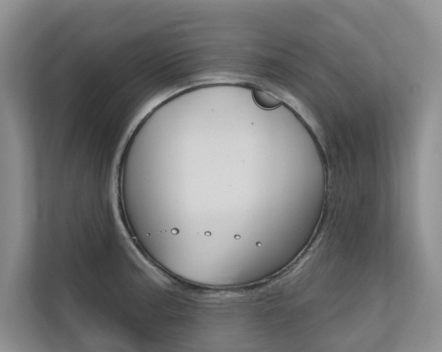 X0000110701187200906121030