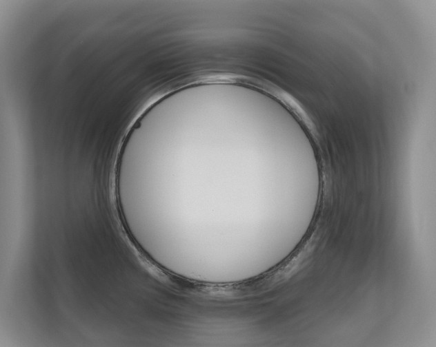 X0000110701194200906121029