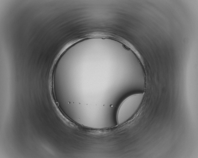 X0000110701195200906121029