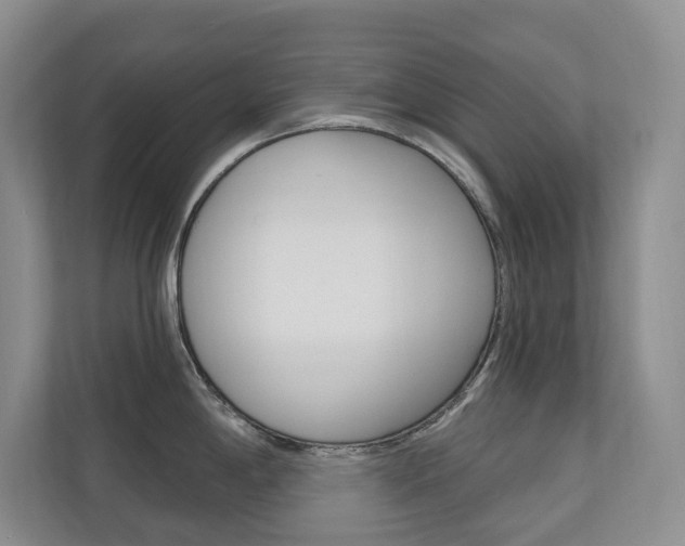 X0000110701198200906121029