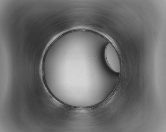 X0000110701199200906121029