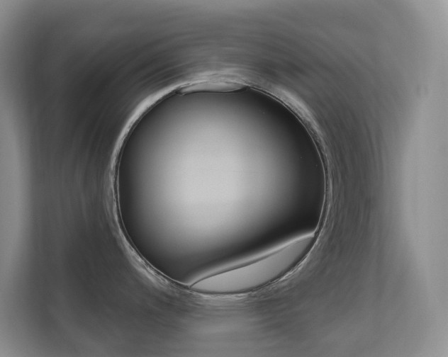 X0000110701200200906121029