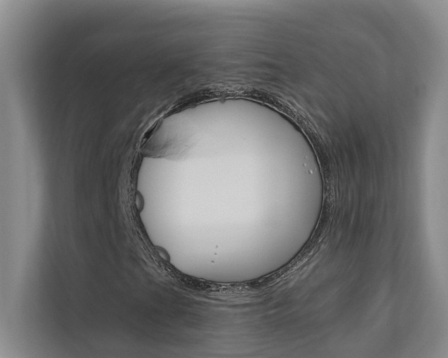 X0000110701201200906121029