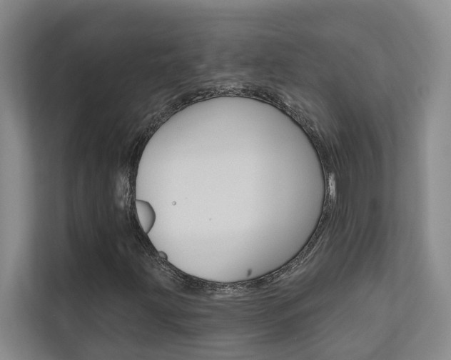 X0000110701203200906121029