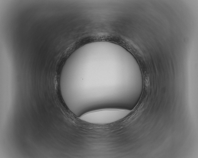 X0000110701204200906121029