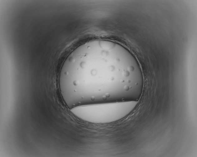 X0000110701205200906121029