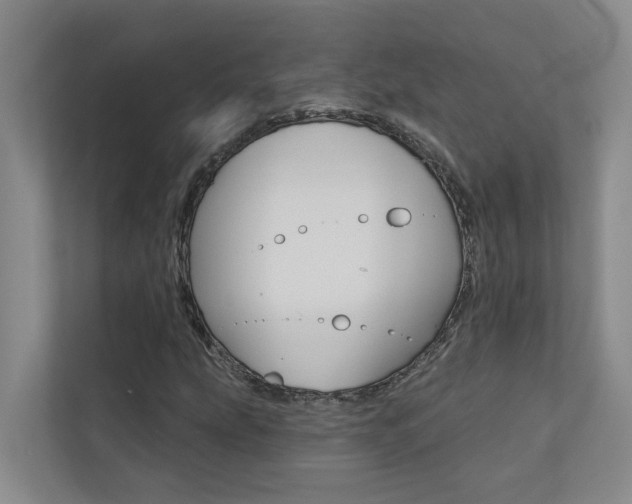 X0000110701207200906121029