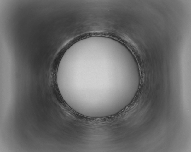 X0000110701208200906121029