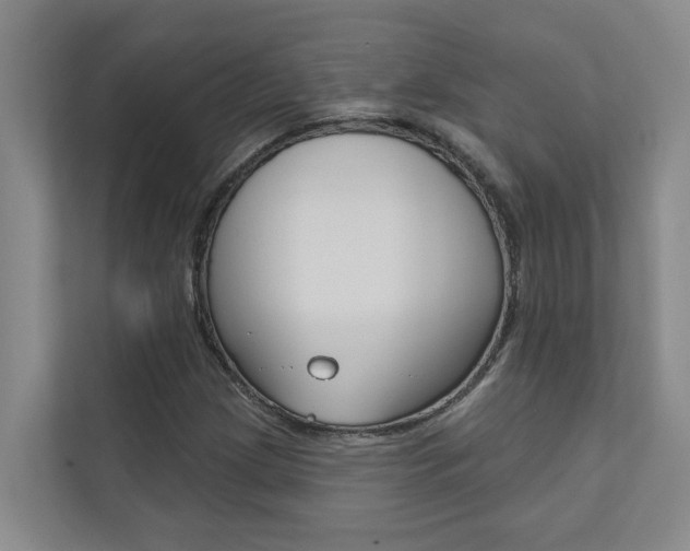 X0000110701209200906121029