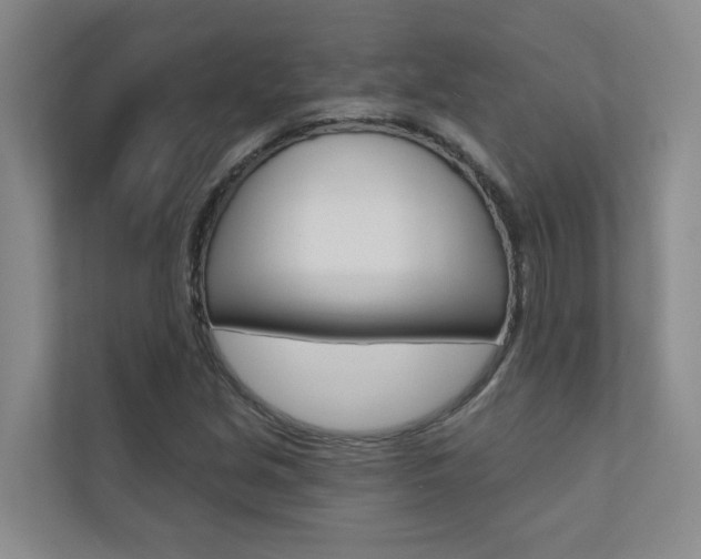 X0000110701213200906121029