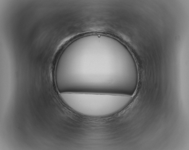 X0000110701214200906121029