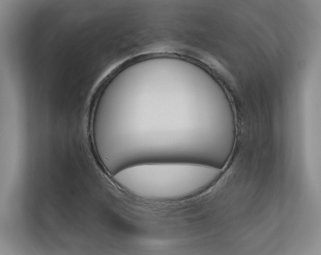 X0000110701216200906121029
