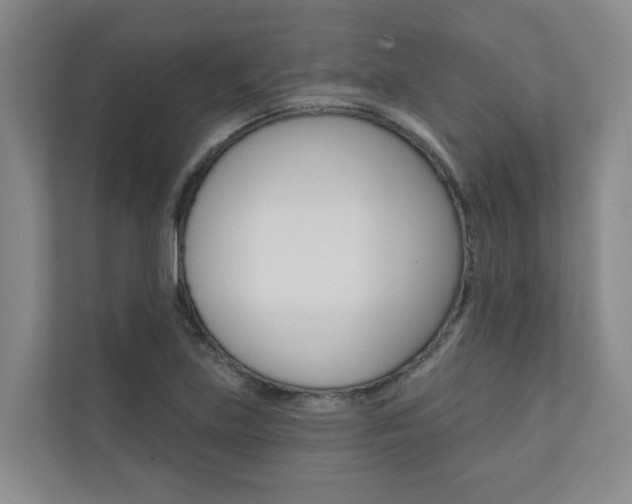 X0000110701219200906121029