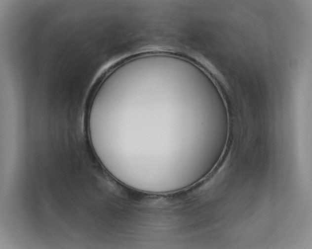 X0000110701222200906121029