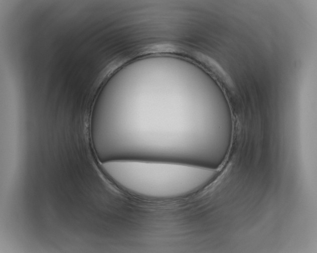 X0000110701225200906121029