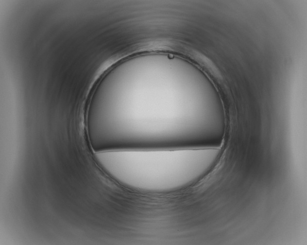 X0000110701226200906121029