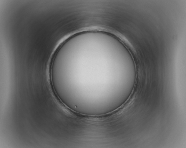 X0000110701230200906121029