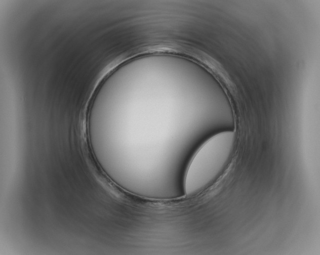 X0000110701234200906121029