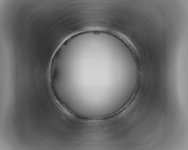 X0000110701236200906121029