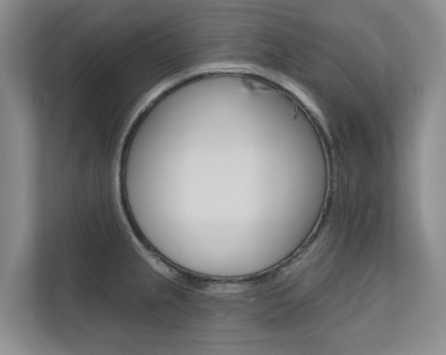 X0000110701237200906121029