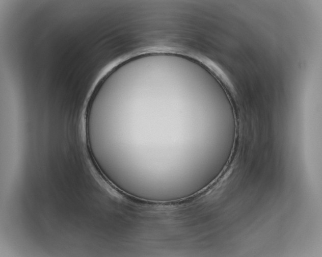X0000110701238200906121029