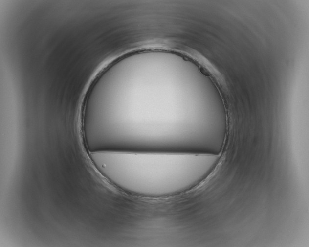 X0000110701240200906121029