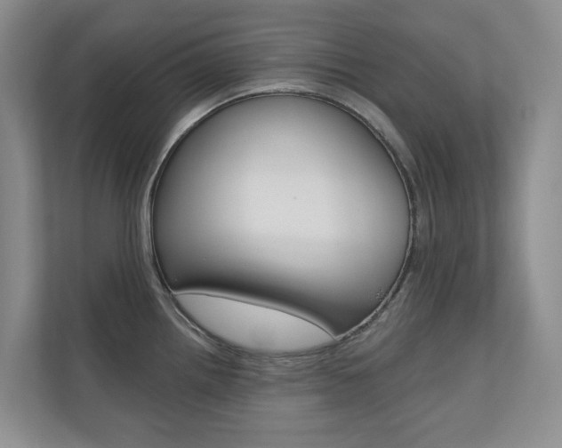 X0000110701242200906121029