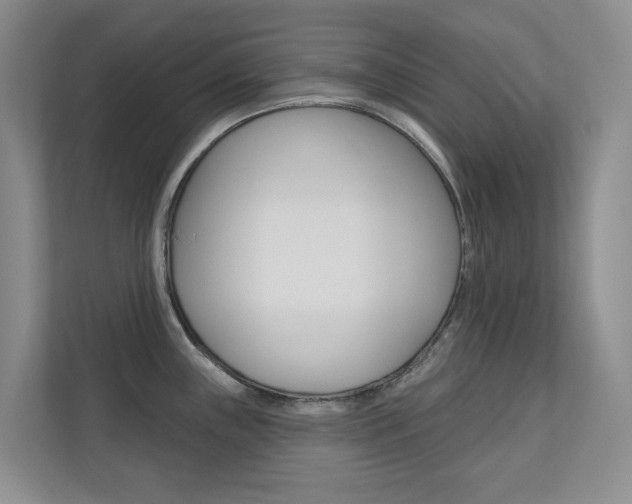 X0000110701243200906121029