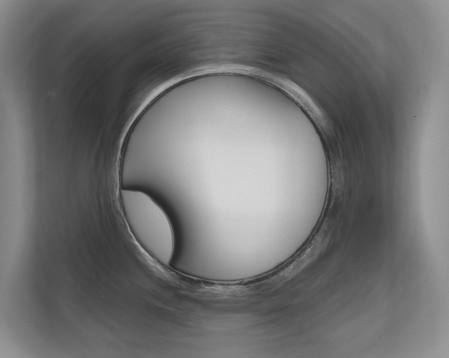 X0000110701244200906121029