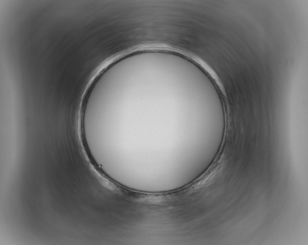 X0000110701245200906121029