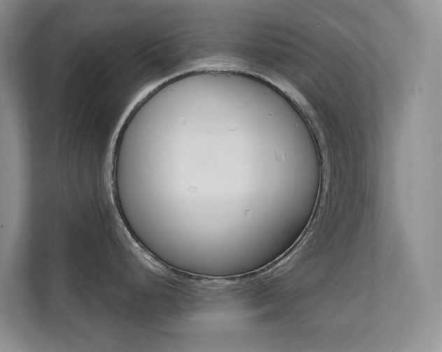 X0000110701248200906121029
