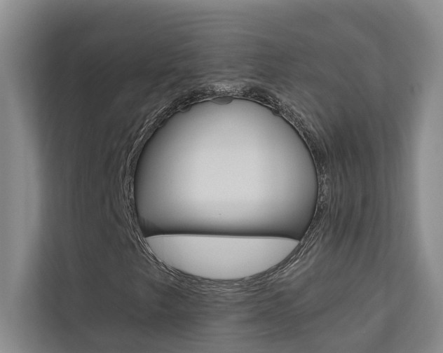 X0000110701249200906121029