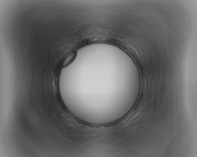 X0000110701250200906121029