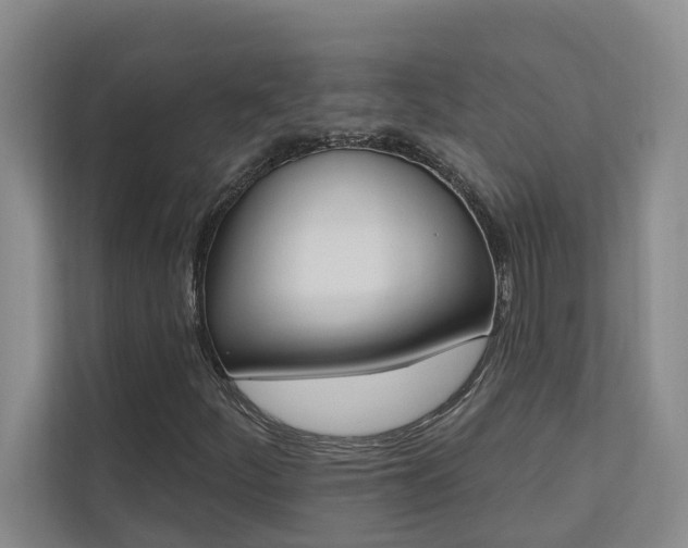 X0000110701252200906121029