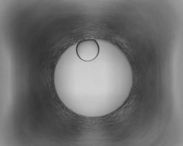 X0000110701253200906121029