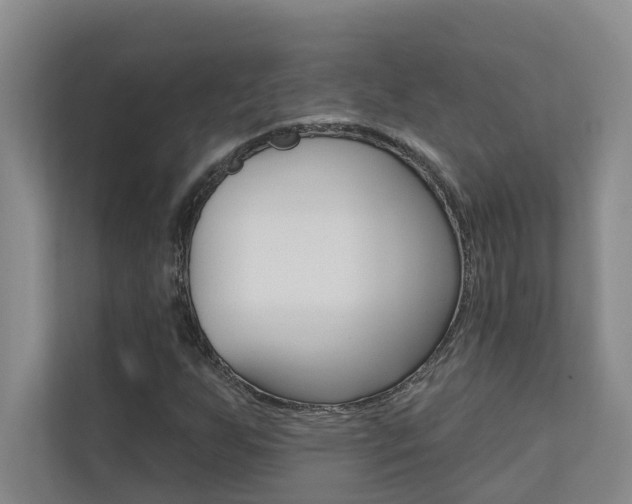 X0000110701255200906121029