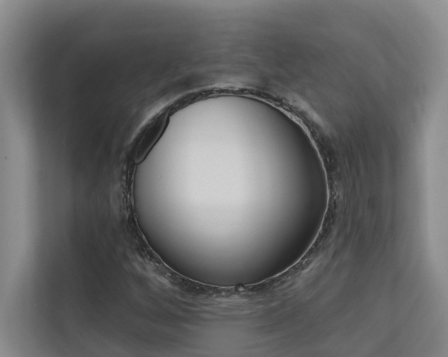 X0000110701256200906121029