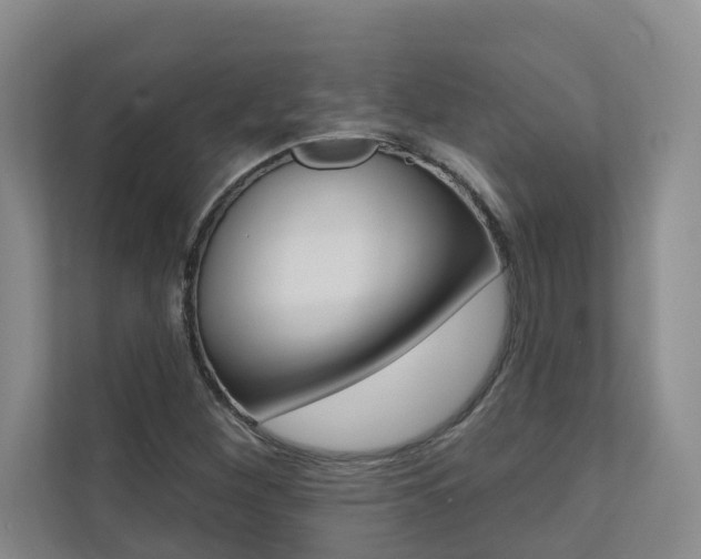 X0000110701260200906121029