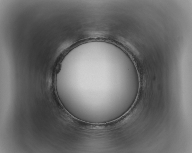X0000110701261200906121029