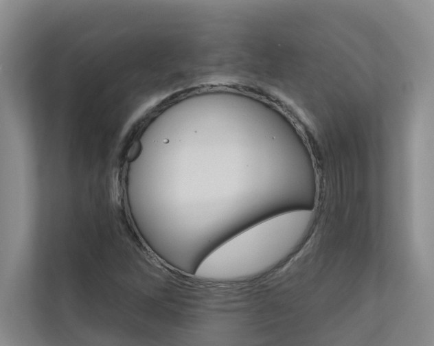 X0000110701262200906121029