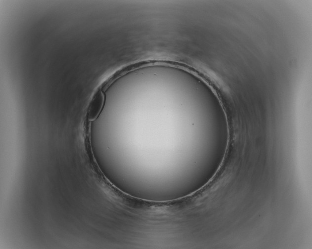 X0000110701264200906121029