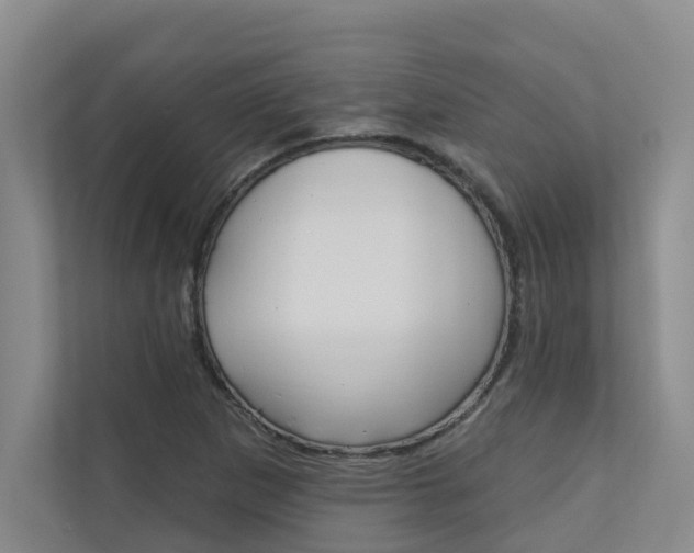 X0000110701265200906121029