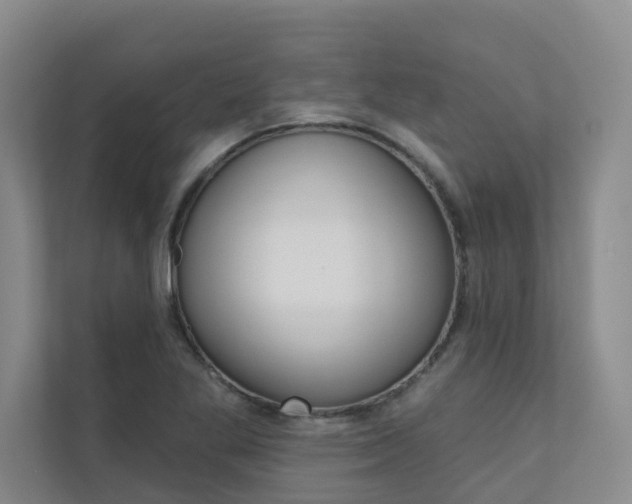 X0000110701269200906121029