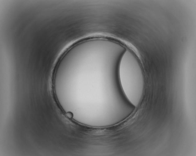 X0000110701279200906121028