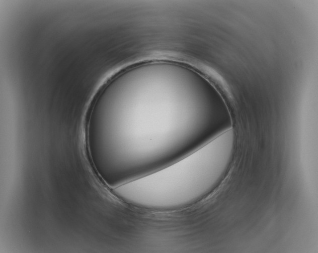 X0000110701280200906121028